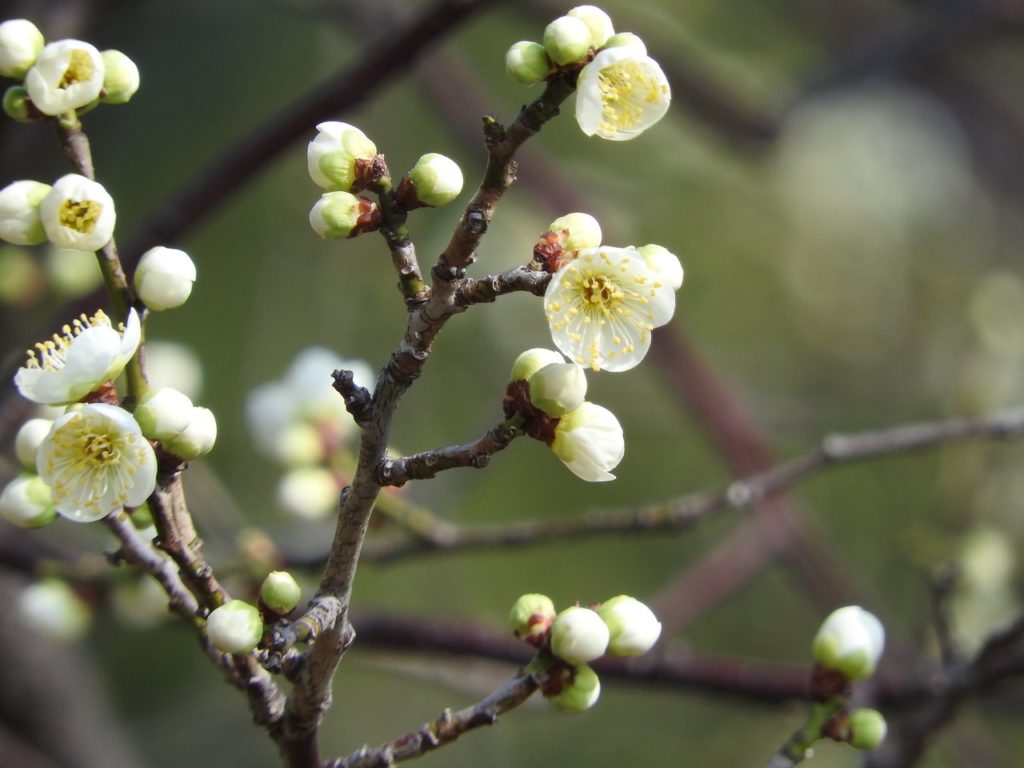 3月９日