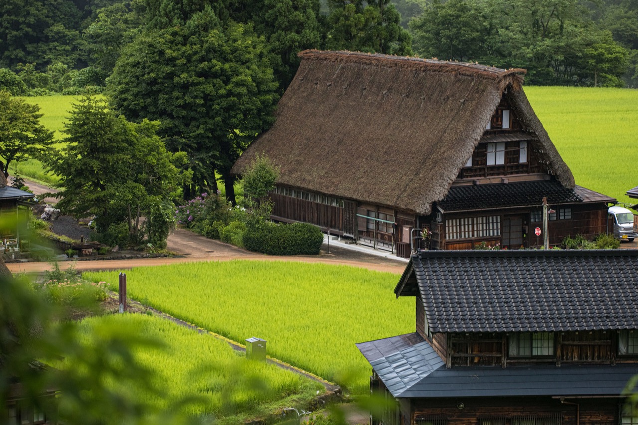 秋分