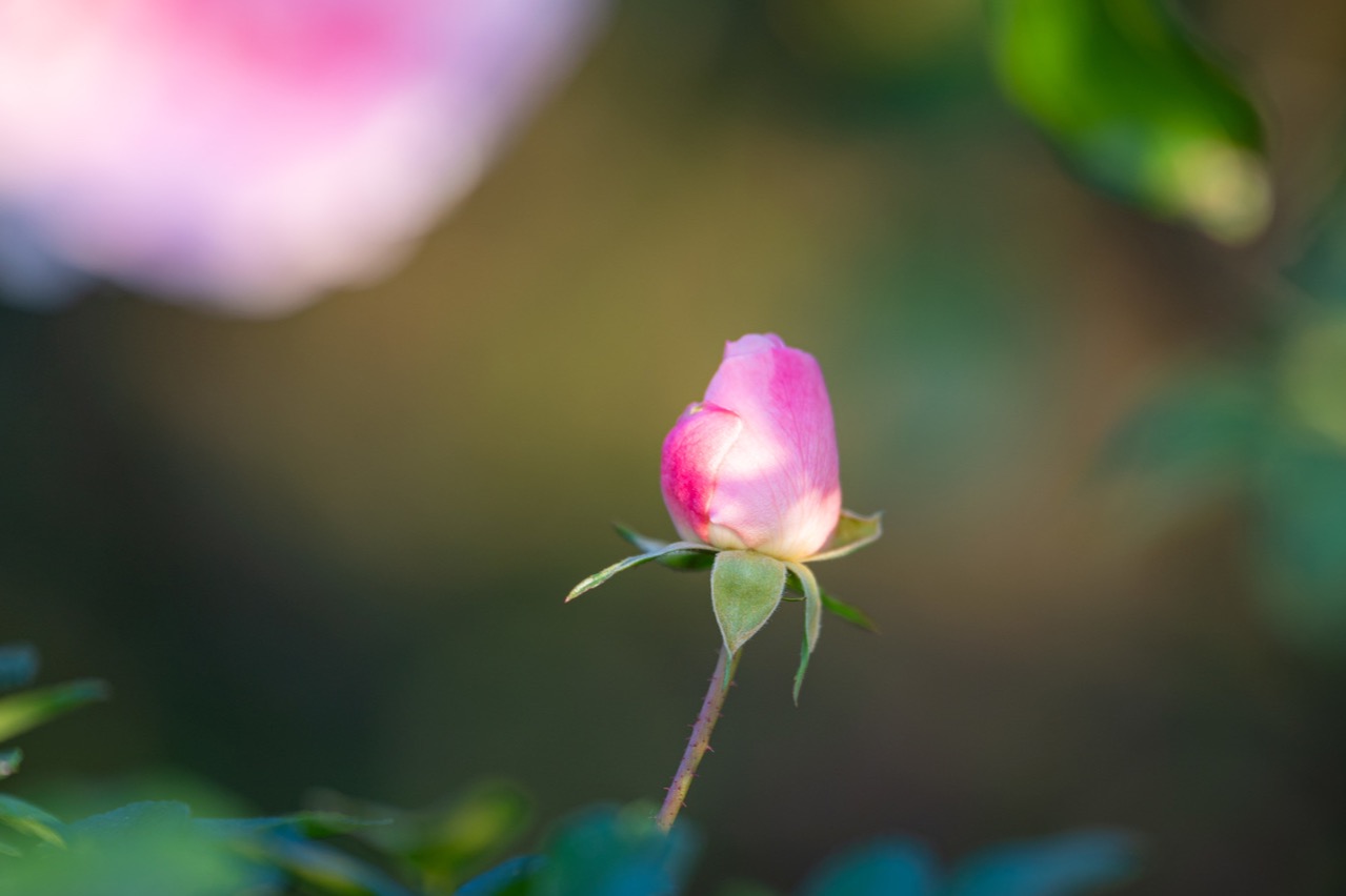 3月９日