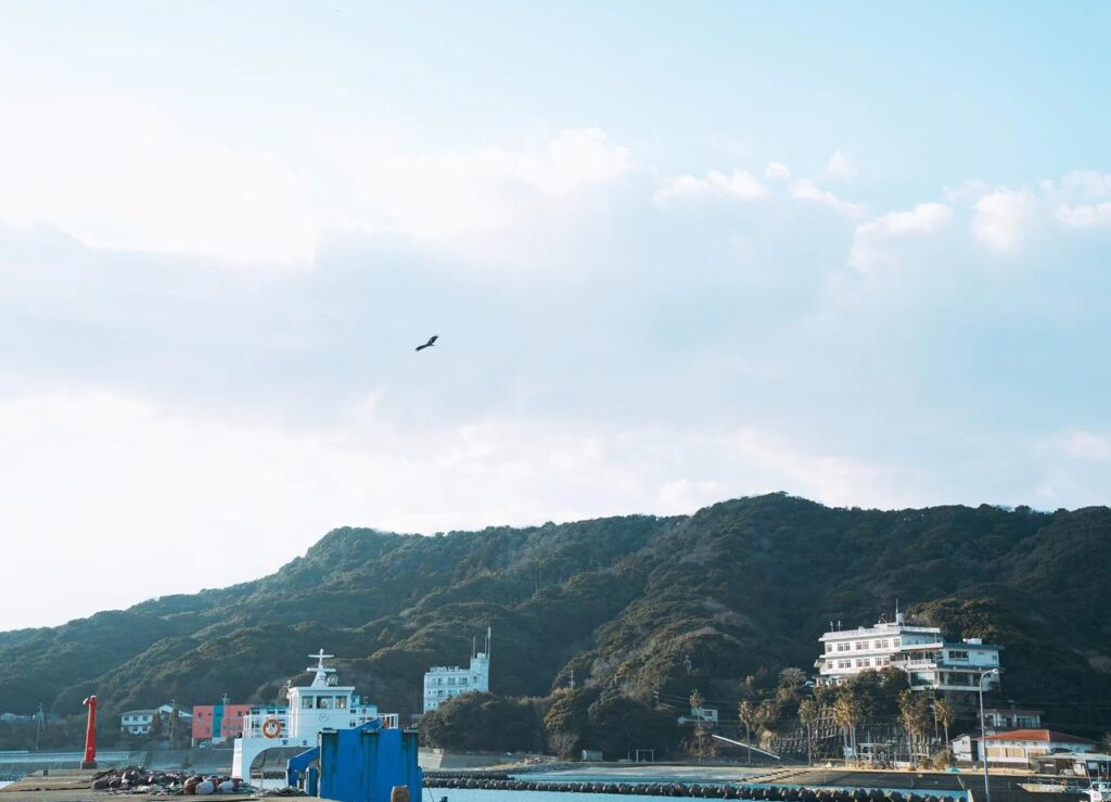 選択の余地