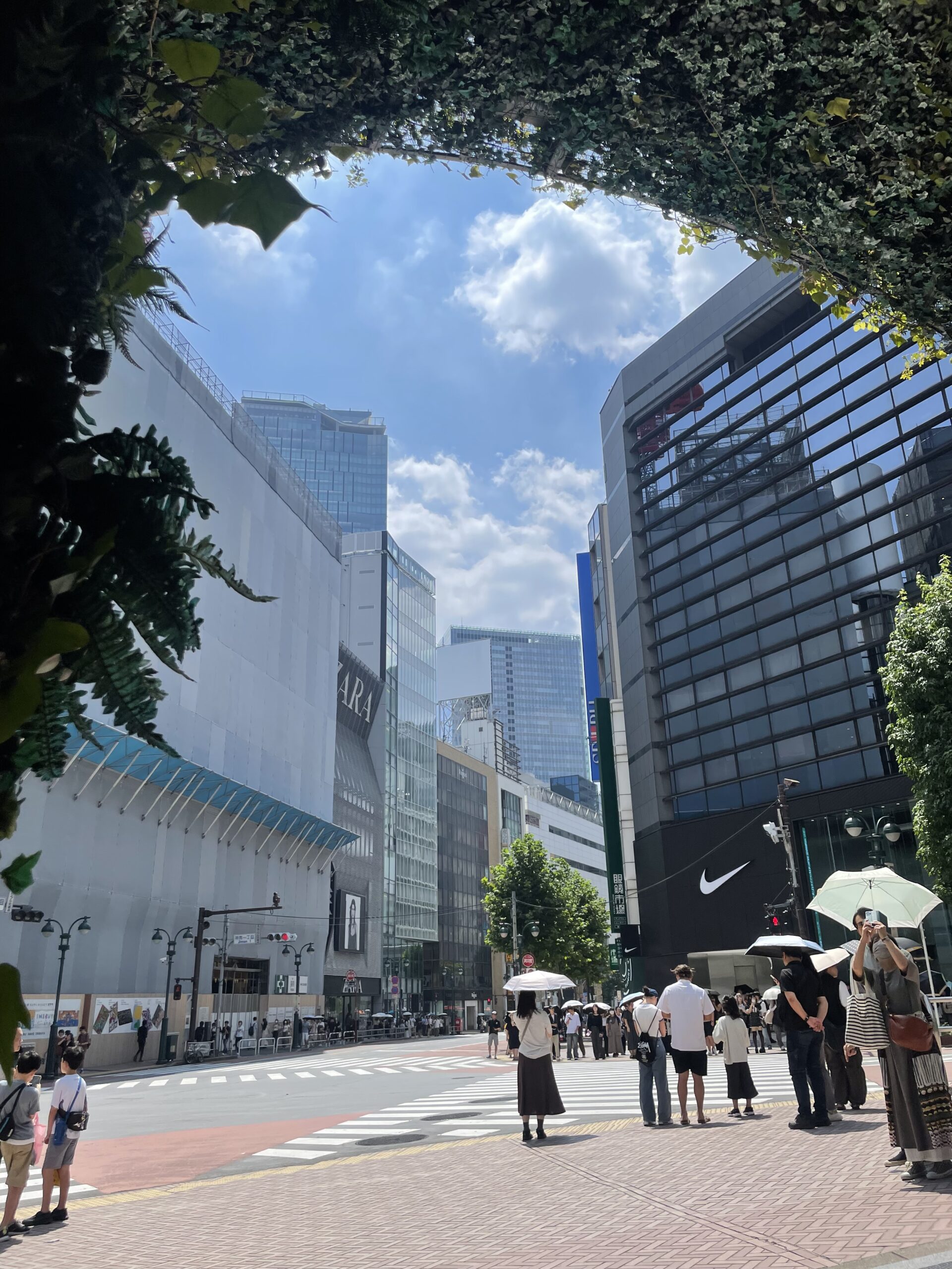 東京キャンプ