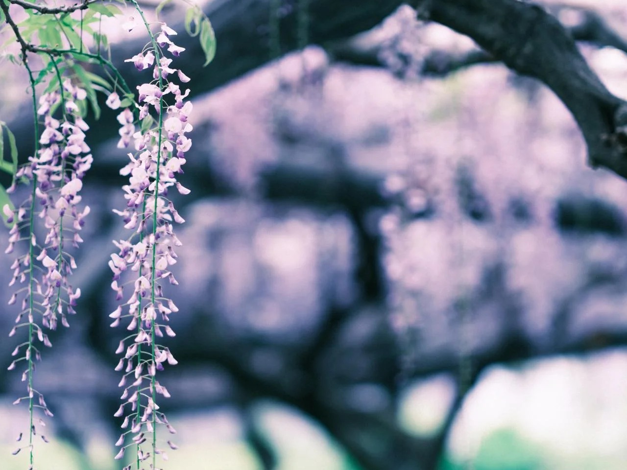 「なんで？」の意味とは