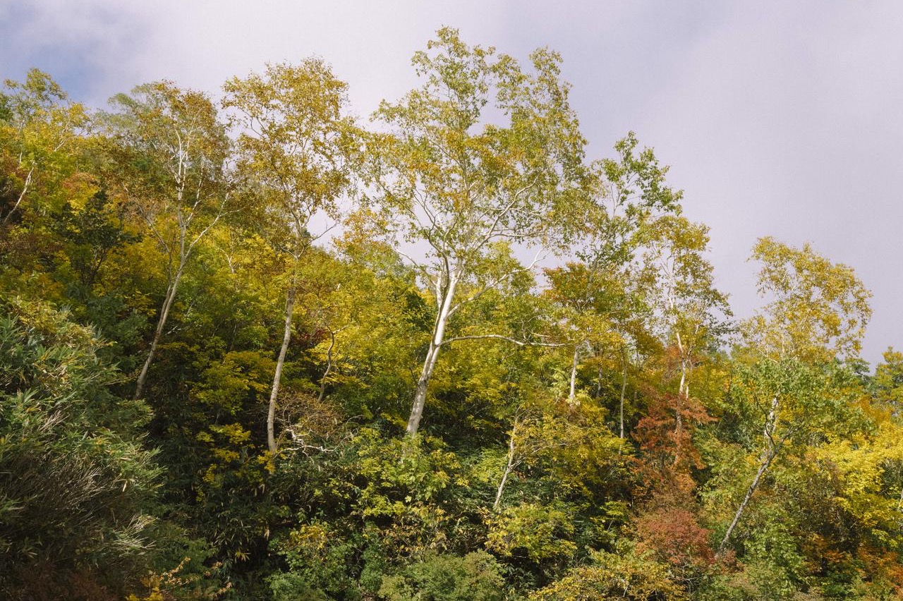 塾長森が、子どもたちに一番投げ掛けた言葉