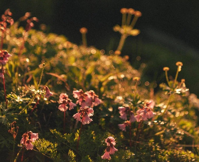 笑って過ごせること