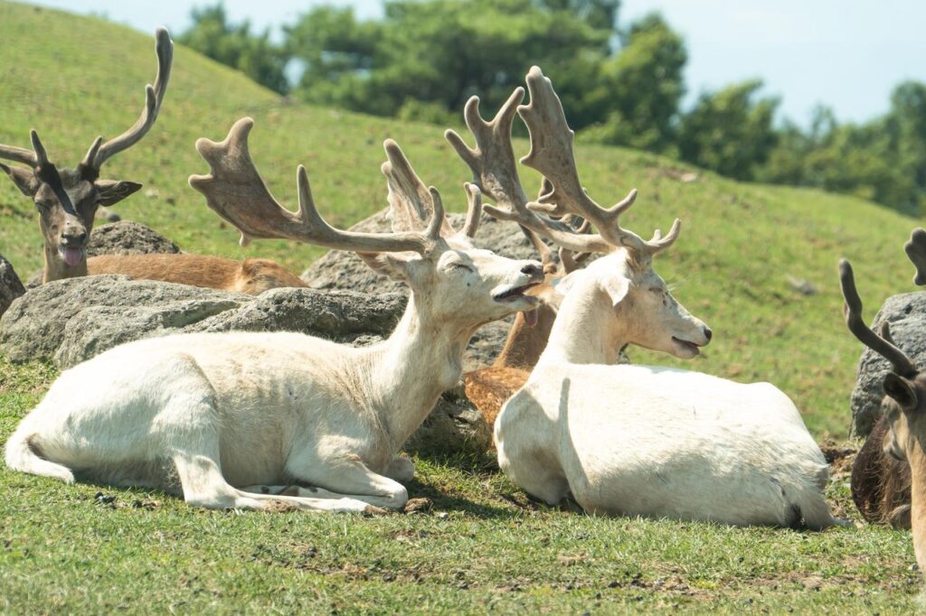 日常会話の解像度