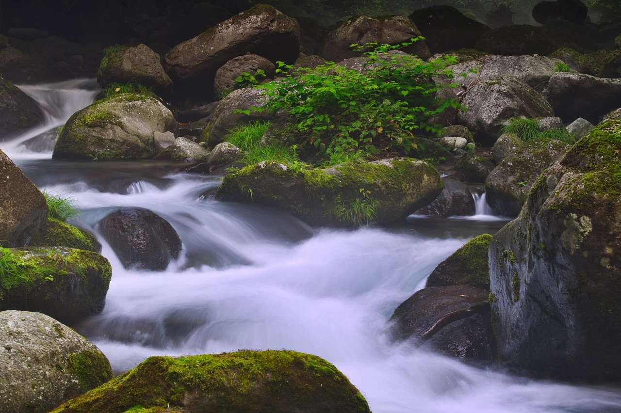 “誰かのため”発進