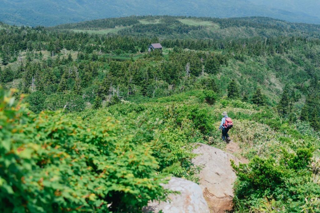 絶対オススメできるライフハック！