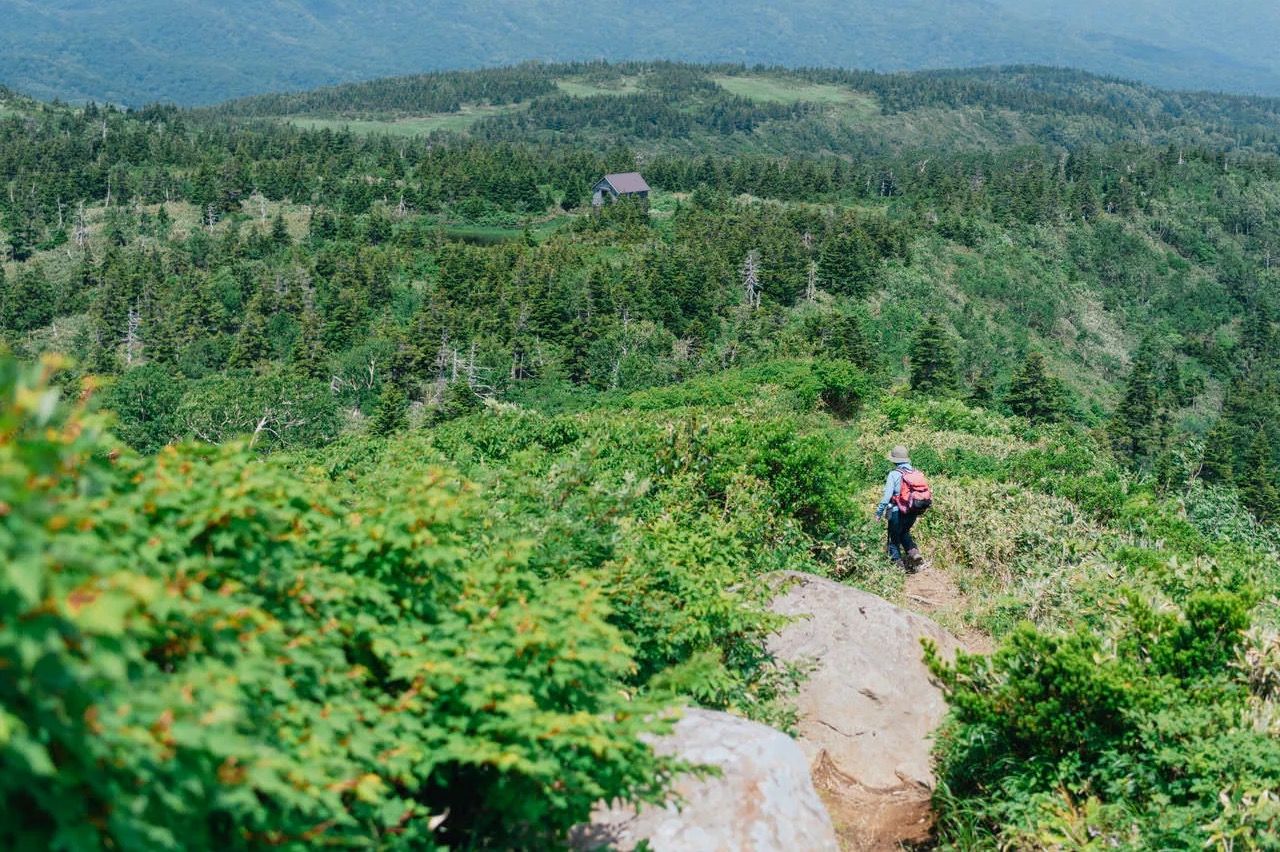 絶対オススメできるライフハック!