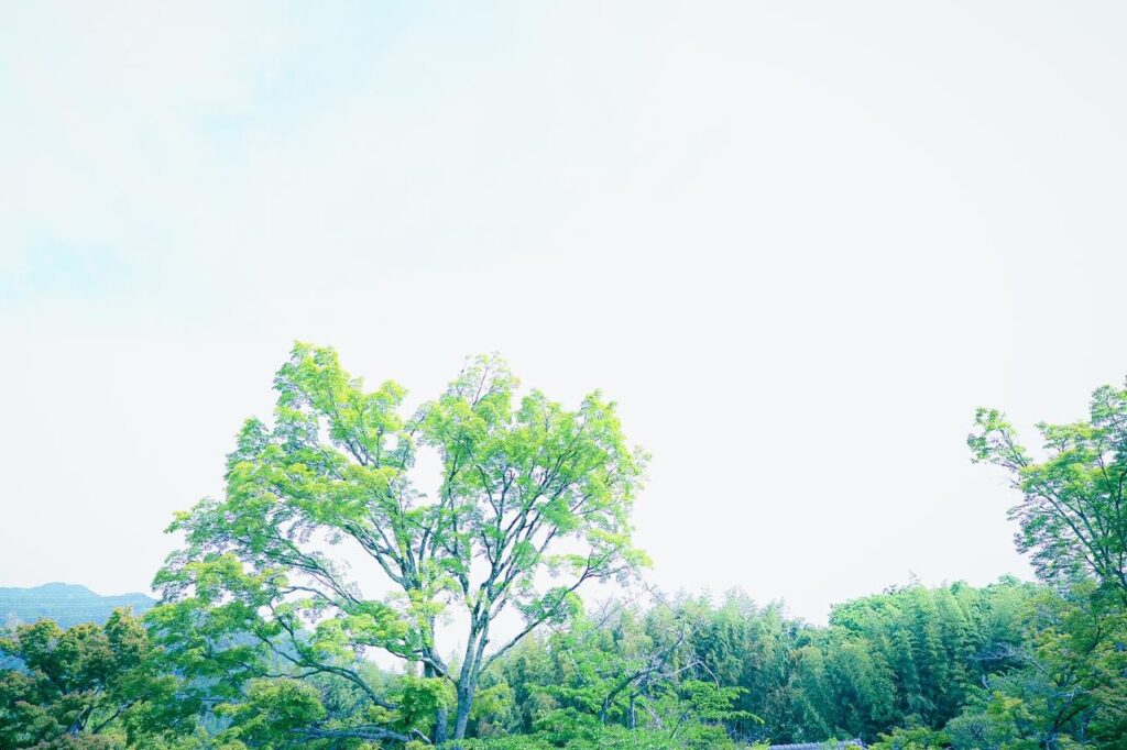 「自分を知る」のラスボス