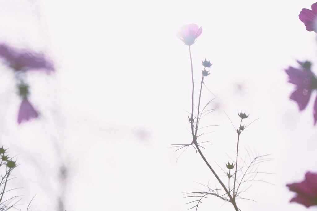 子どもたちはよく見ている