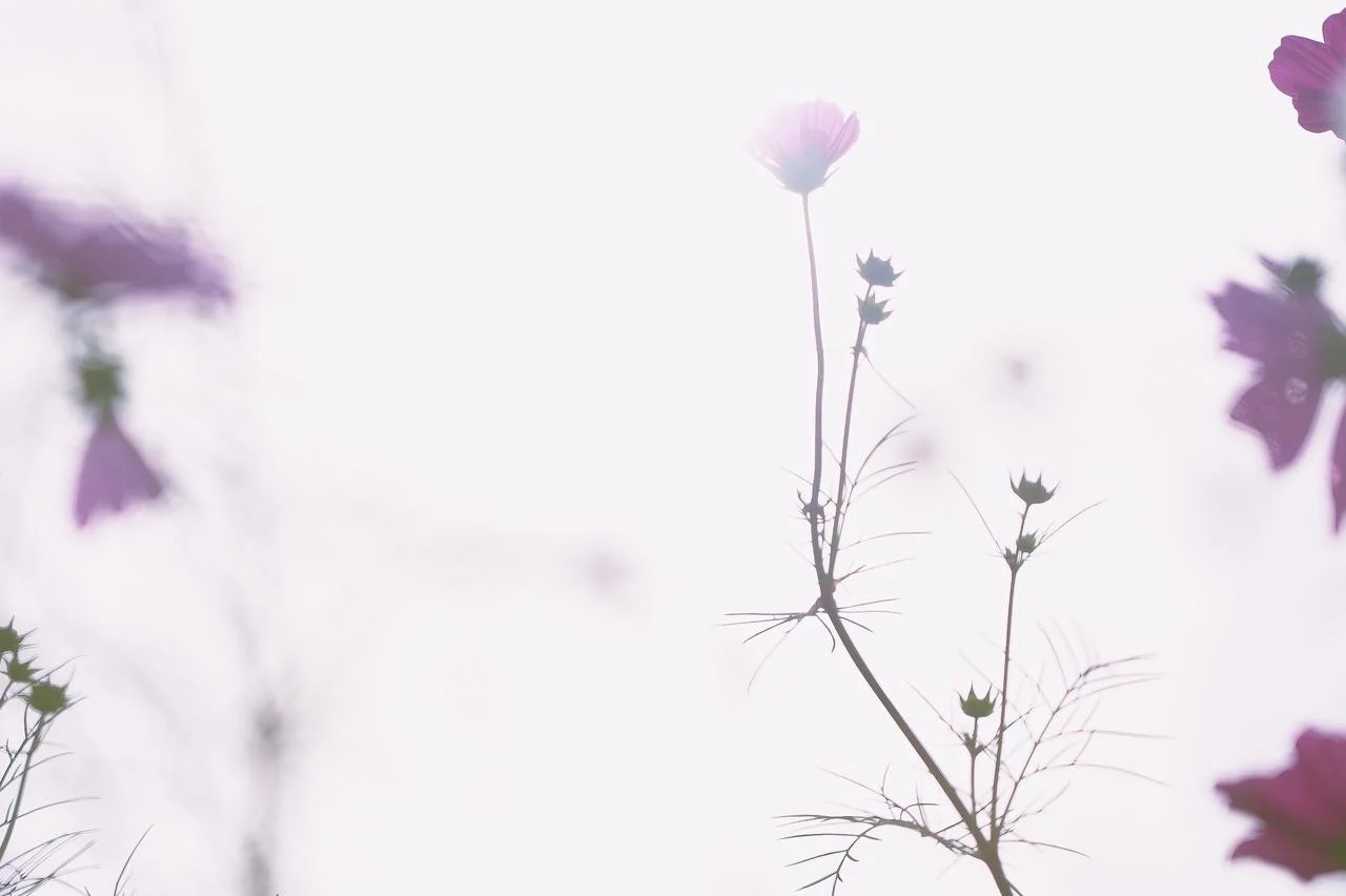 子どもたちはよく見ている