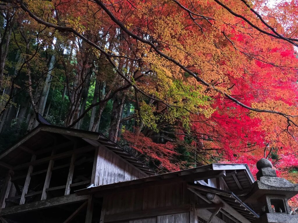 やり残したことありませんか？