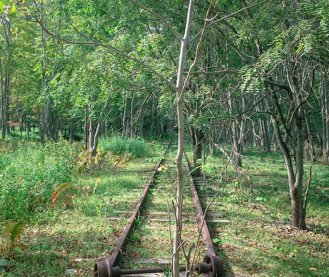 Find生が輝くターン