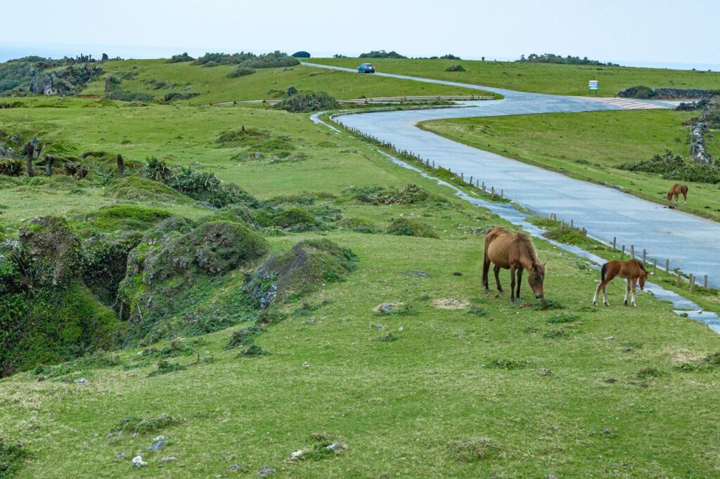 あなたの塾Findパーフェクトイヤー