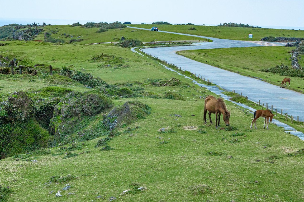 あなたの塾Findパーフェクトイヤー