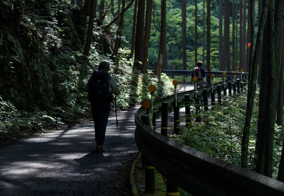 やってみよっかな