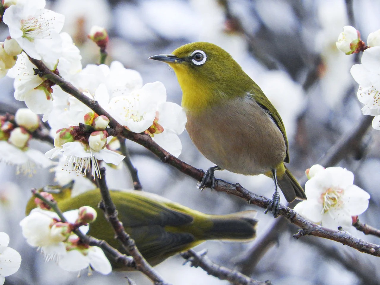 決めたら迷わないで