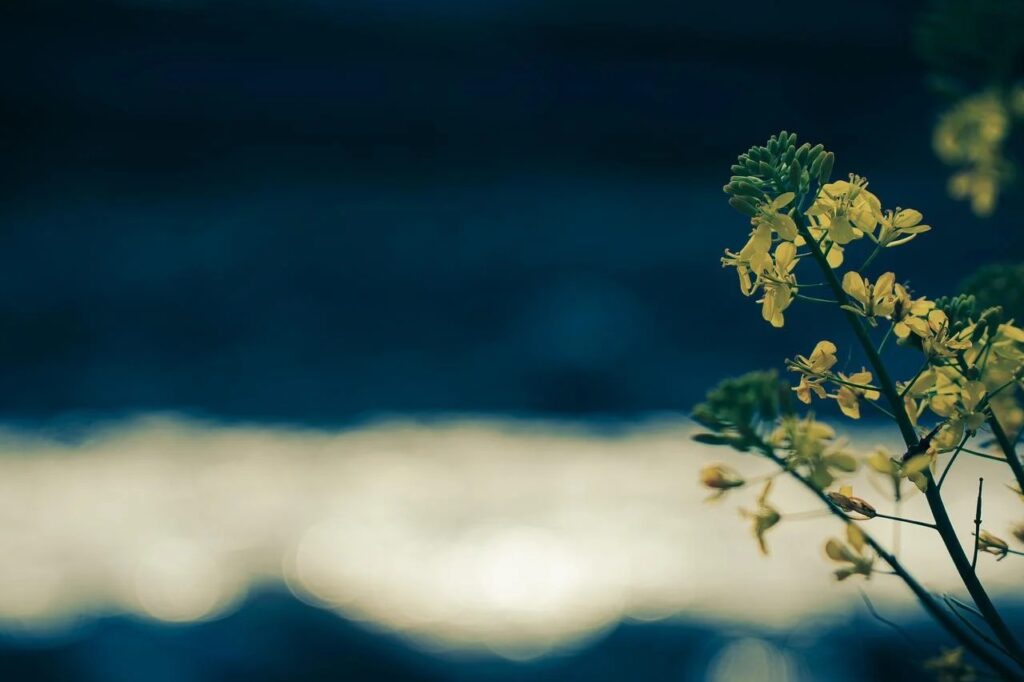 意義が必要なら