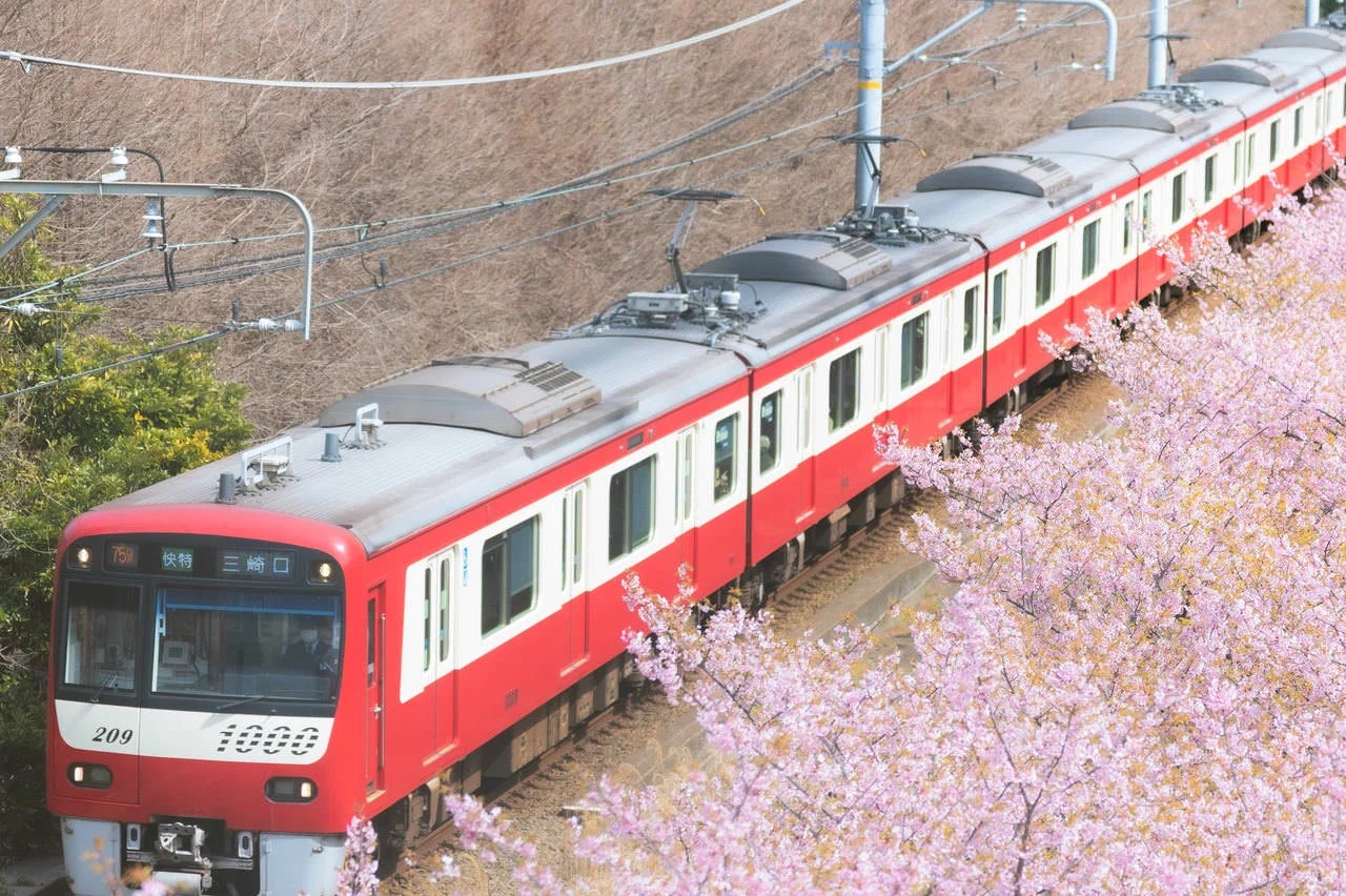 小学校ご卒業おめでとうございます。