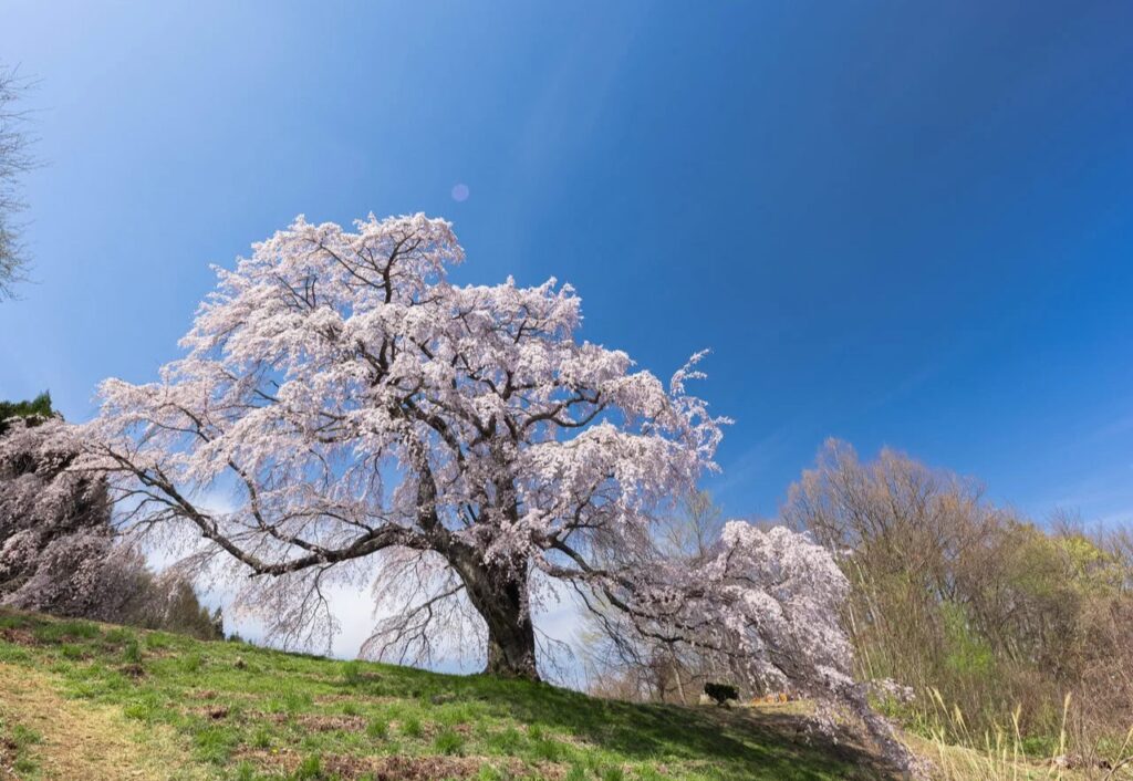 過去と未来と（現在）