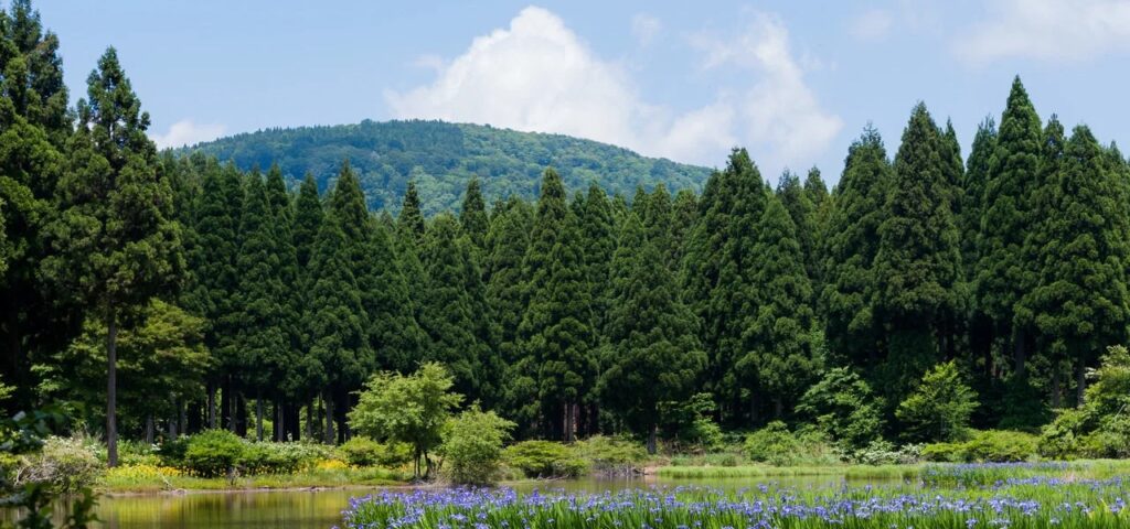 自分なら選択しないけど、する人もいるよね
